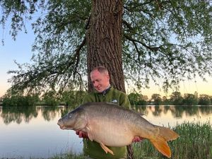 Mirror Carp