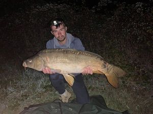 Mirror Carp