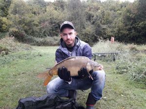 Mirror Carp