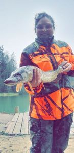 Northern Pike