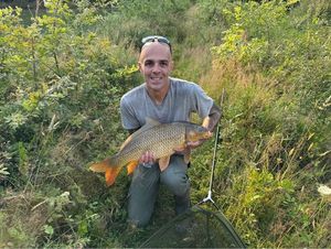 Common Carp