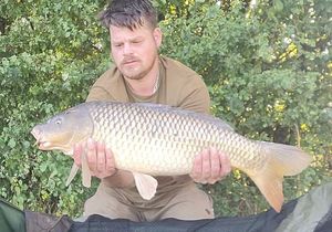 Common Carp