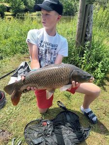 Common Carp