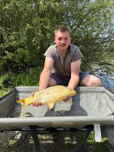 Koï Fish