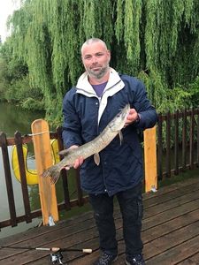 Northern Pike