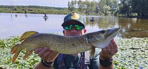 Brochet