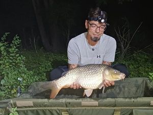 Common Carp