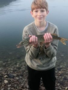 Northern Pike