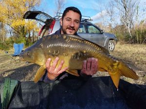 Mirror Carp