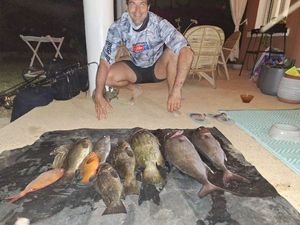 Black Grouper
