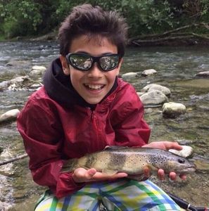 Brown Trout