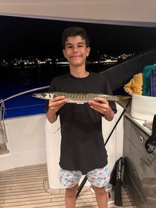 Obtuse Barracuda