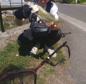 Largemouth Bass