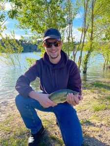 Largemouth Bass