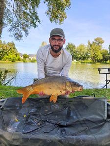 Mirror Carp