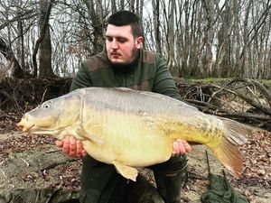 Mirror Carp