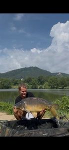 Mirror Carp