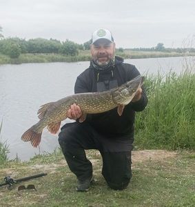 Northern Pike