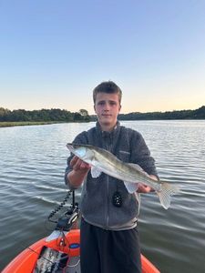 Zander