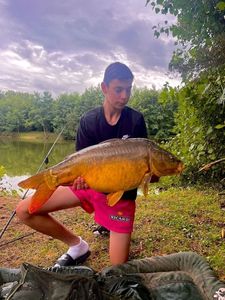 Mirror Carp