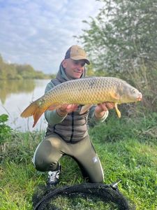 Common Carp