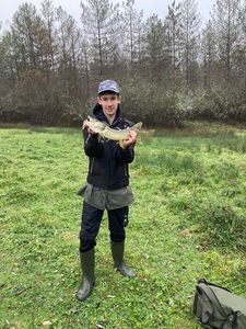 Northern Pike