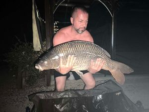 Mirror Carp