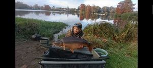 Mirror Carp