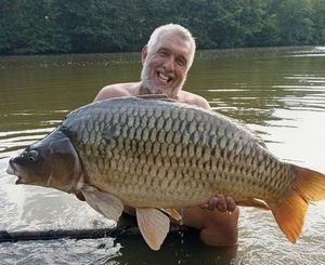 Common Carp