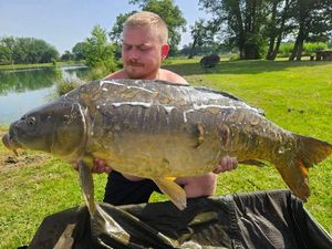 Mirror Carp