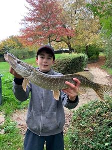 Northern Pike