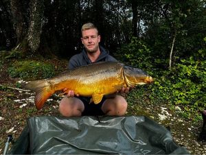 Mirror Carp