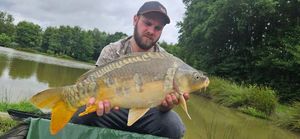 Mirror Carp