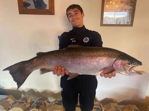 Rainbow Trout