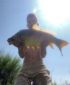 Mirror Carp