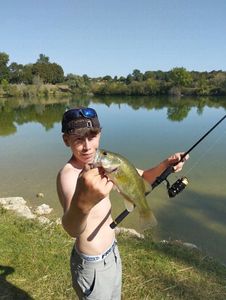 Largemouth Bass