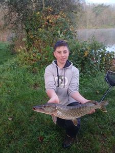 Northern Pike