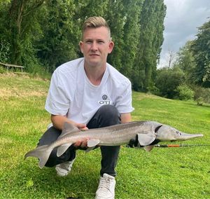 Sturgeon