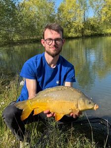 Mirror Carp