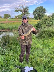 Northern Pike