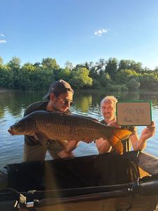 Common Carp