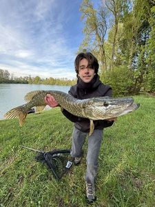 Northern Pike
