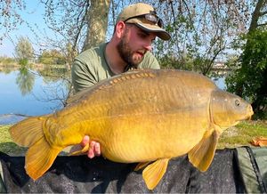 Mirror Carp