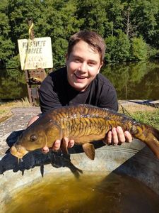 Mirror Carp
