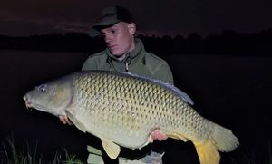 Common Carp