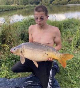 Mirror Carp