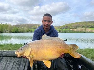 Mirror Carp