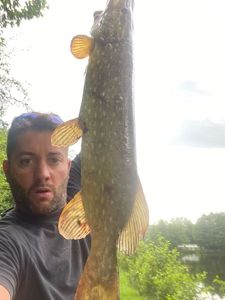 Northern Pike