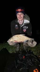 Common Bream
