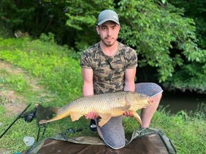 Common Carp